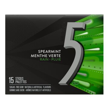 WRIGLEY'S 5 RAIN SPEARMINT 10'S