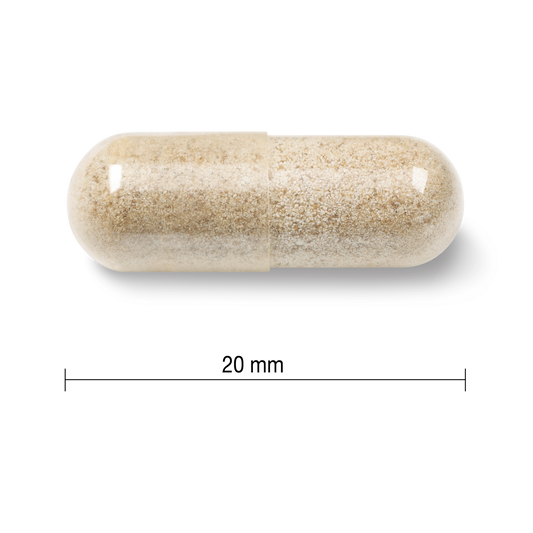 Gentle Iron 28mg Capsules - 90 Count